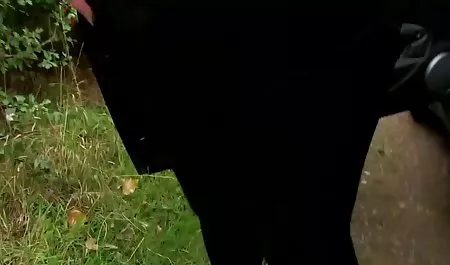 மெதுவாக பச்சை குத்தப்பட்டு உண்மையான குடித்துவிட்டு ஆபாச ஏஞ்சலினா பிரில் ஸ்ட்ரிப்டீஸ் செய்கிறது நீங்கள் CU