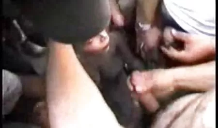 பொன்னிற சாரா பெறுகிறார், செக்ஸ், உண்மையான ஆபாச பார்க்க கழுதை